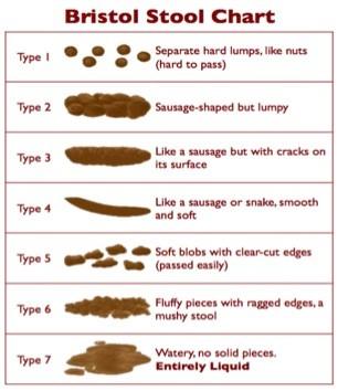 How to have the perfect poo! 2 B Stool chart
