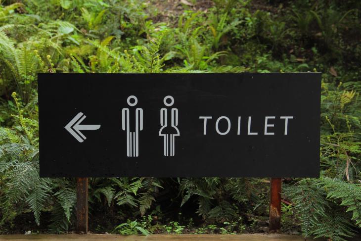 pexels photo 88808 loo